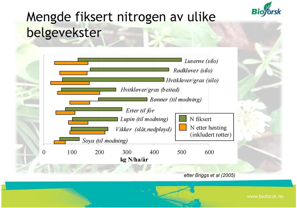 Lupin (til modning) N fiksert N etter høsting (inkludert røtter) Vikker