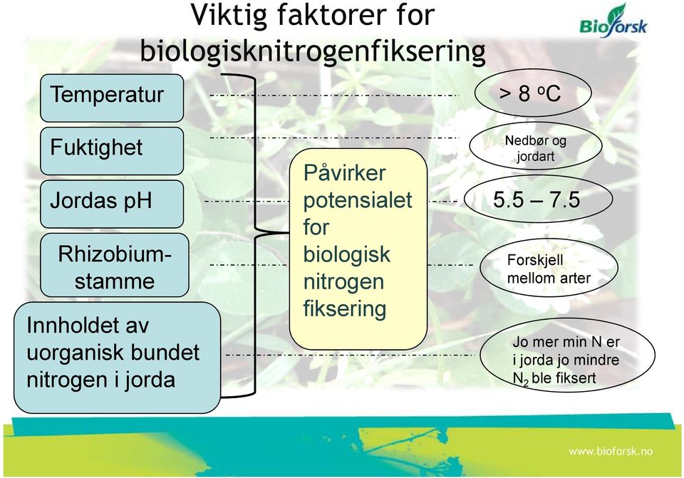 nitrogen i jorda Påvirker potensialet for biologisk nitrogen fiksering 5.