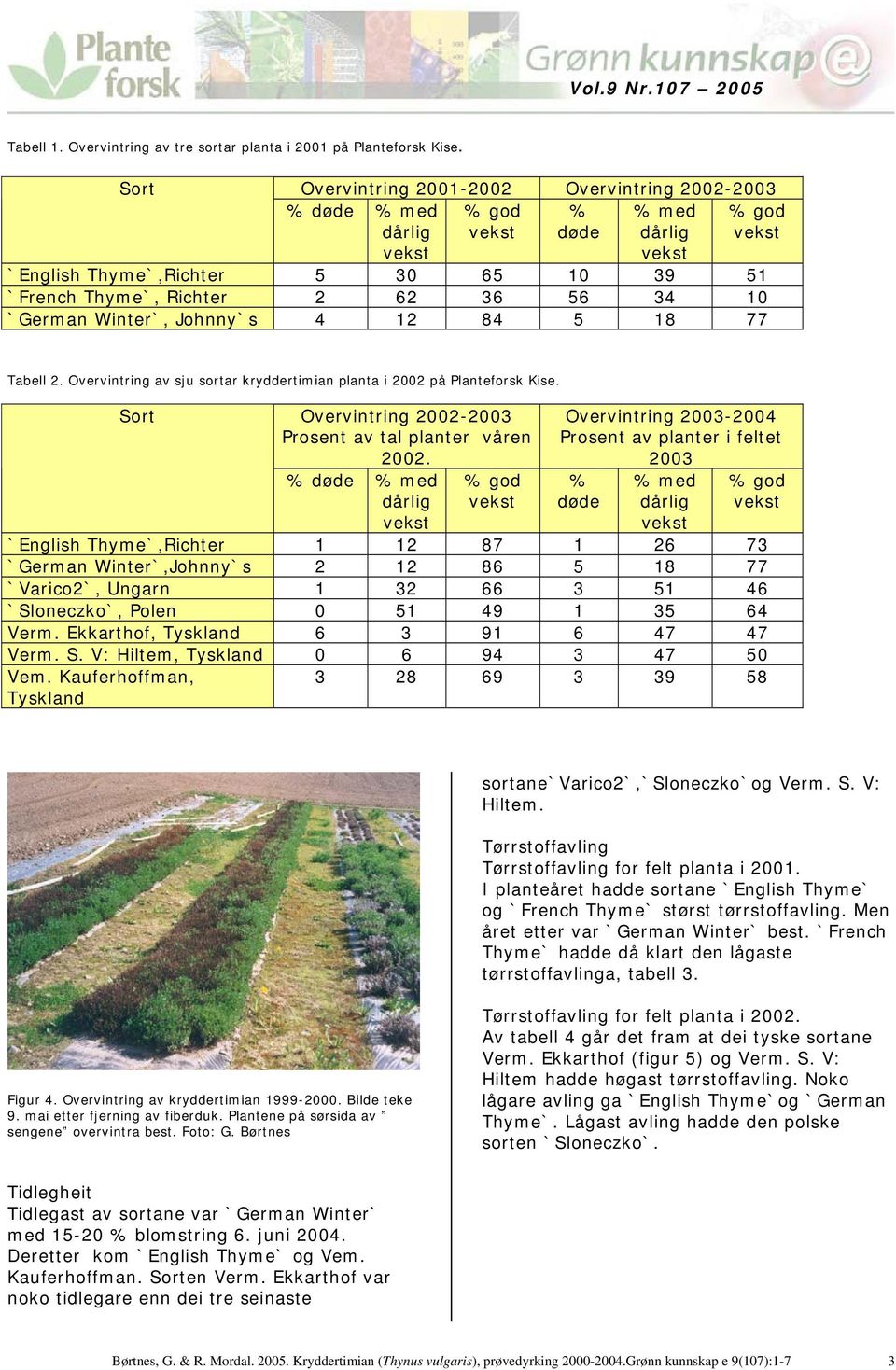 Tabell 2. Overvintring av sju sortar kryddertimian planta i 2002 på Planteforsk Kise. Overvintring 2002-2003 Prosent av tal planter våren 2002.