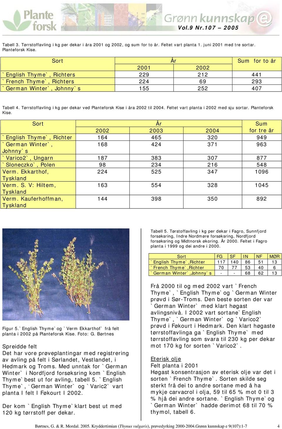 Tørrstoffavling i kg per dekar ved Planteforsk Kise 