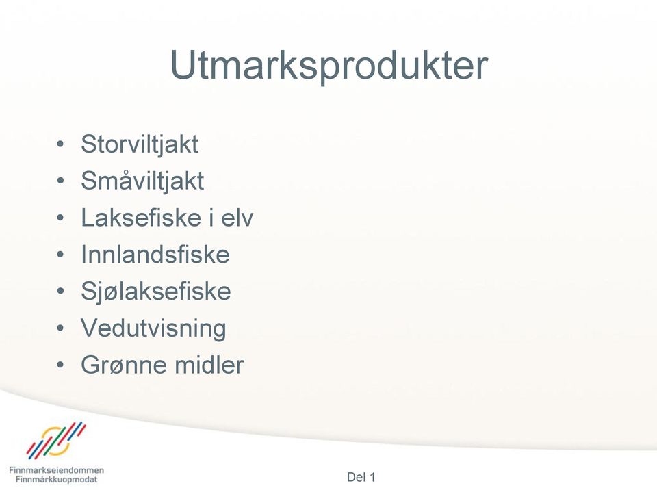 Innlandsfiske Sjølaksefiske