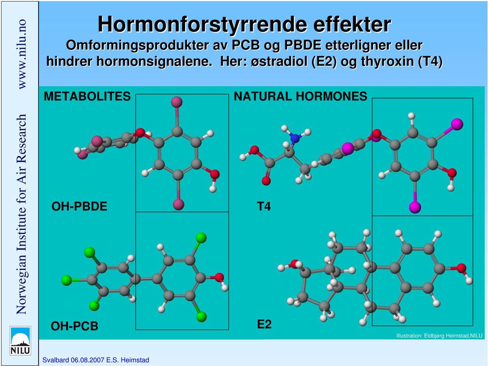 Her: østradiol (E2) og thyroxin (T4) METABOLITES NATURAL