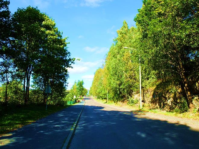 5 Nordre Aker Sognsveien TETTHET: 18 trær / 1000m 2 SANNTID:754