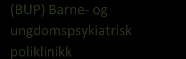 Regionale og sentrale aktører Kommunene har også samarbeidsavtaler med flere eksterne kompetansemiljøer, og de har et behandlingstilbud for alle aldersgrupper.