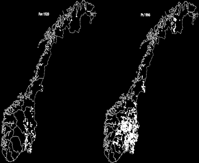 Ørekyte spreidd over store områder, også i Oppland, mest etter