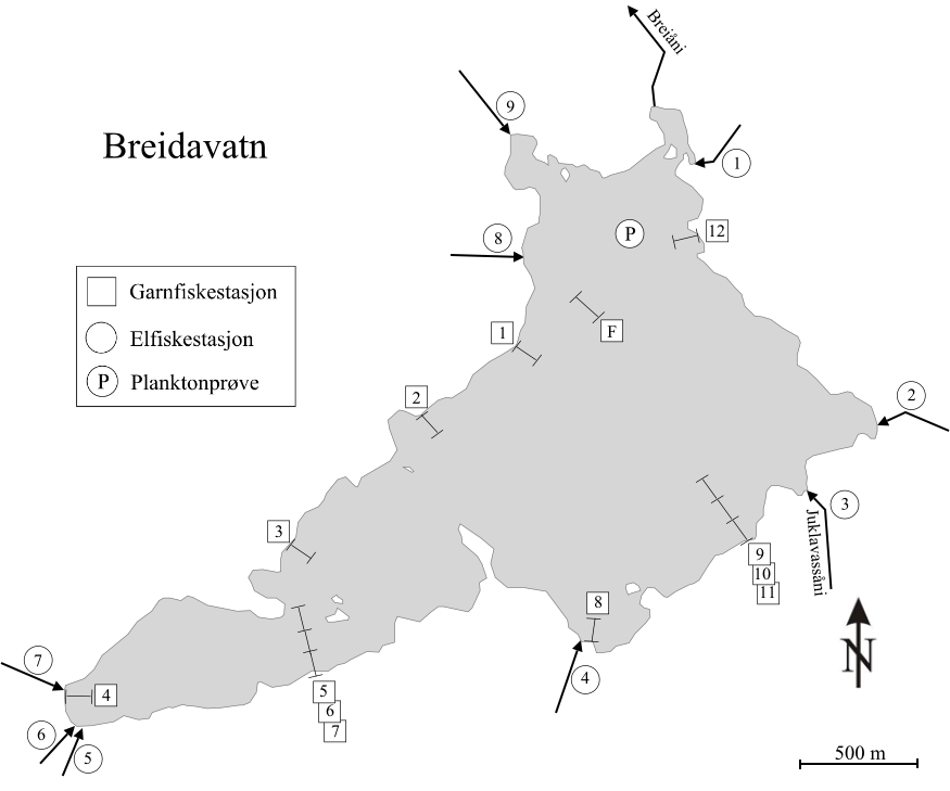 Figur 3. Vannstand i Breidavatn i perioden 1. januar 2003 til 8. september 2013. Forventet oppvandrings- og gyteperiode for ørret fra 20. september til 20. oktober er markert med gult.