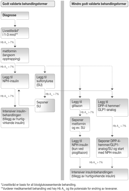 8/19 Figur 1 Behandlingsalgoritme for type 2 diabetes (1). Dapagliflozin ble markedsført i Norge i 2013 og er ikke med i disse retningslinjene.