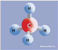 Biogass og naturgass- distribusjon Biogass = klimanøytralt metan Alder: 4-6 uker Formel: CH 4 Kilde: Matavfall/organisk avfall/slamsystemer Regularitet: Økende antall kilder Biogass