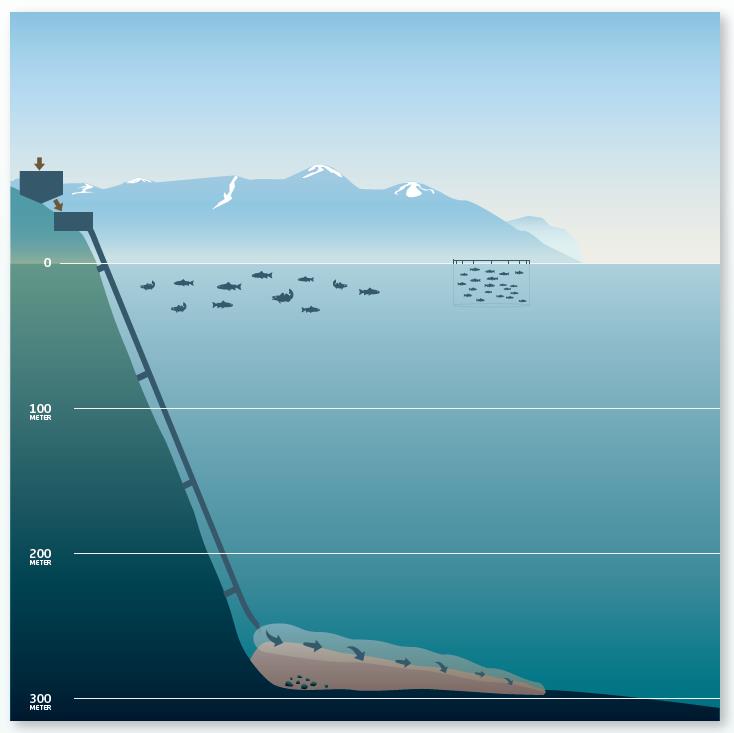 Engebøfjellet Plan for