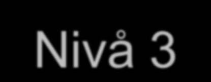 Nivå 3 På nivå 3 kan tekstens innhold være ukjent for eleven, språket kan ha en viss kompleksitet, og teksten kan inneholde relativt mye informasjon.