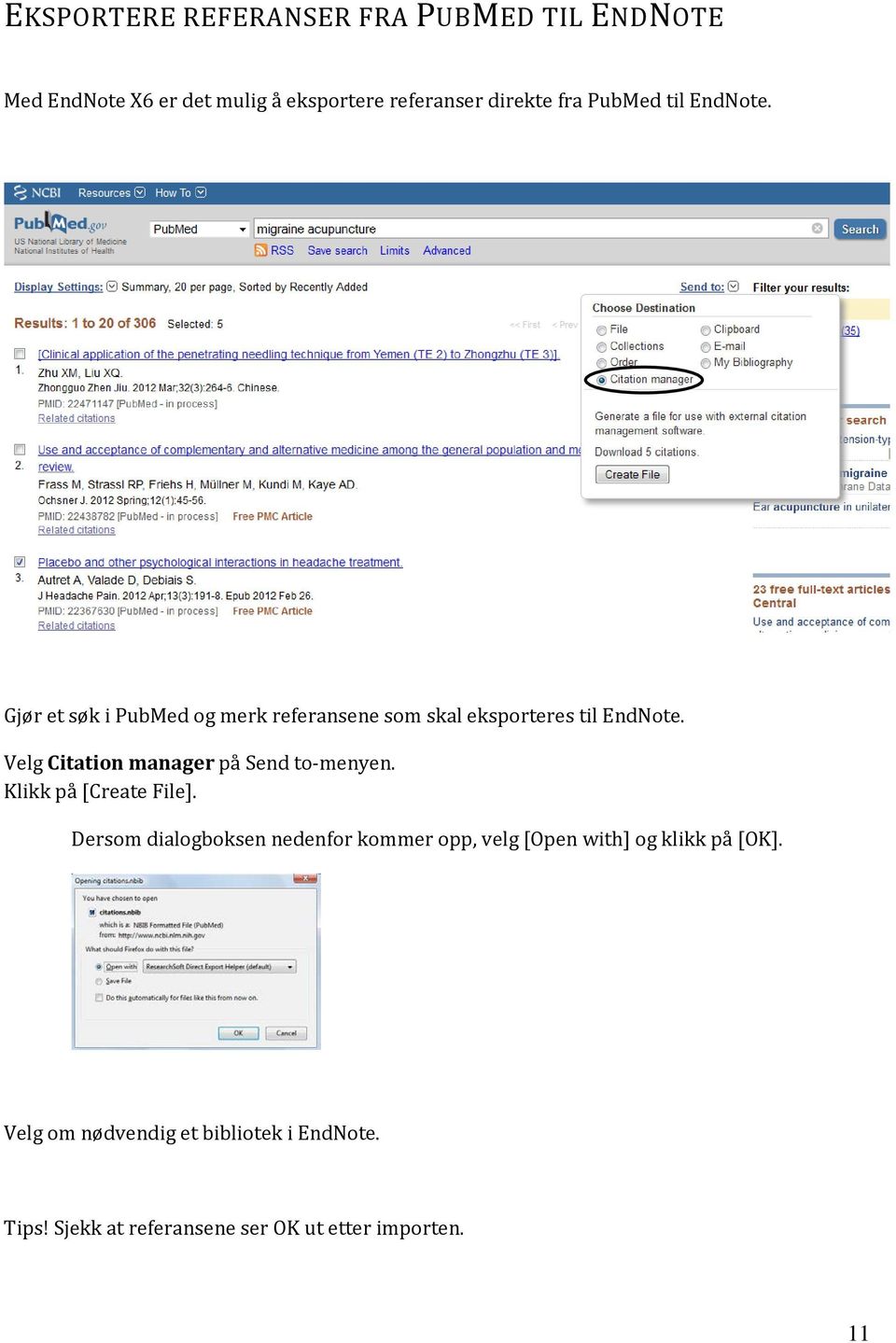 Velg Citation manager på Send to-menyen. Klikk på [Create File].