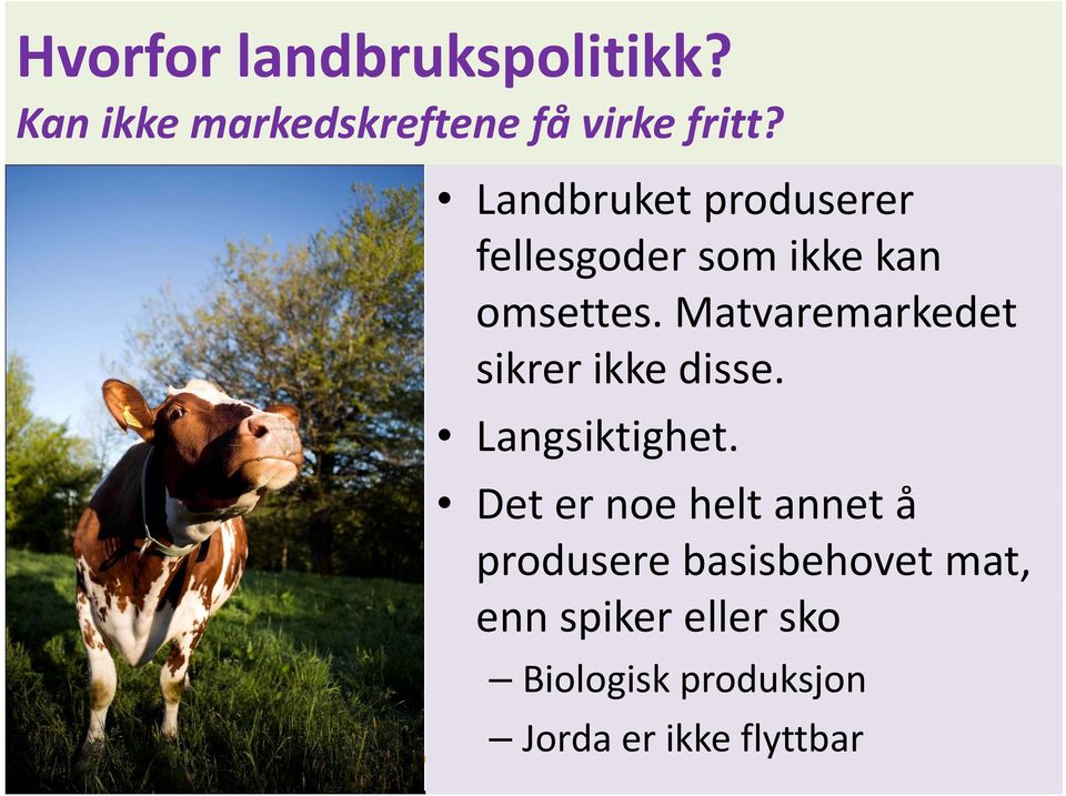 Matvaremarkedet sikrer ikke disse. Langsiktighet.