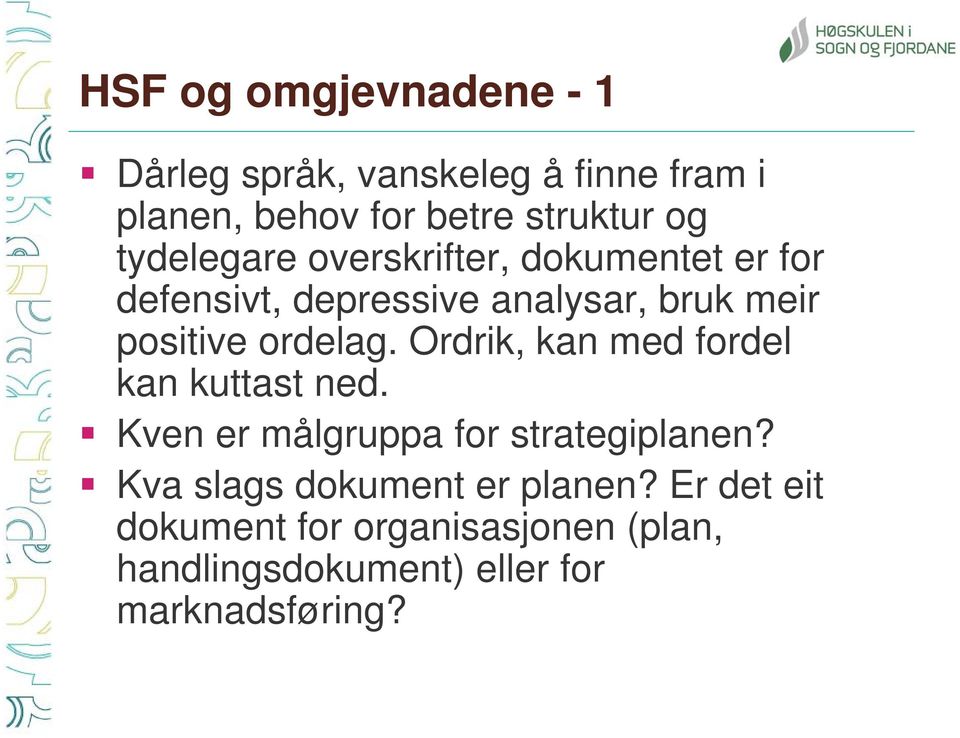 ordelag. Ordrik, kan med fordel kan kuttast ned. Kven er målgruppa for strategiplanen?