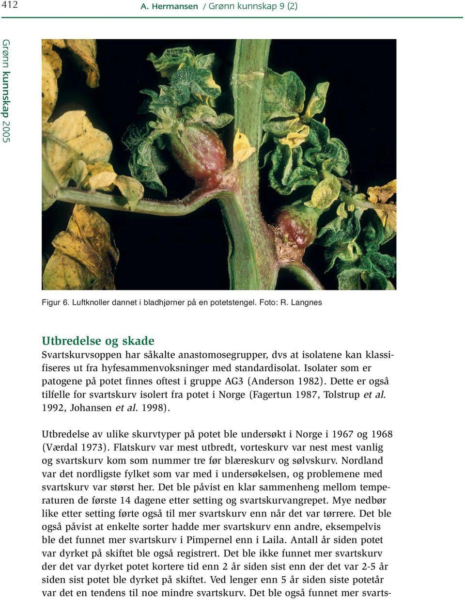 Isolater som er patogene på potet finnes oftest i gruppe AG3 (Anderson 1982). Dette er også tilfelle for svartskurv isolert fra potet i Norge (Fagertun 1987, Tolstrup et al. 1992, Johansen et al.