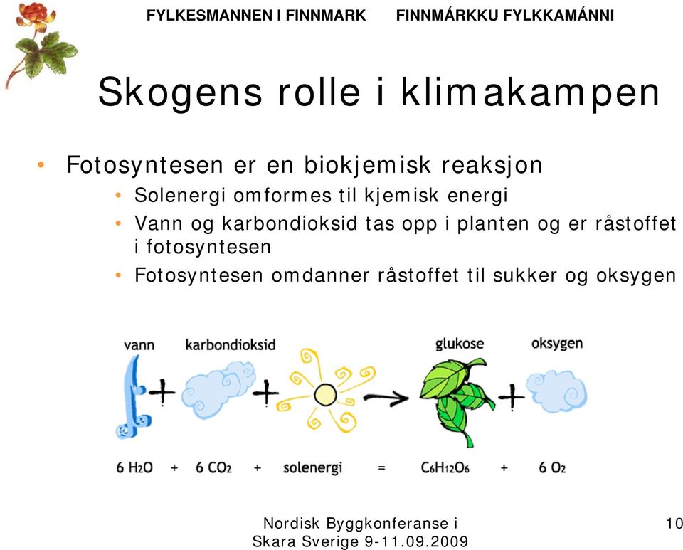 karbondioksid tas opp i planten og er råstoffet i