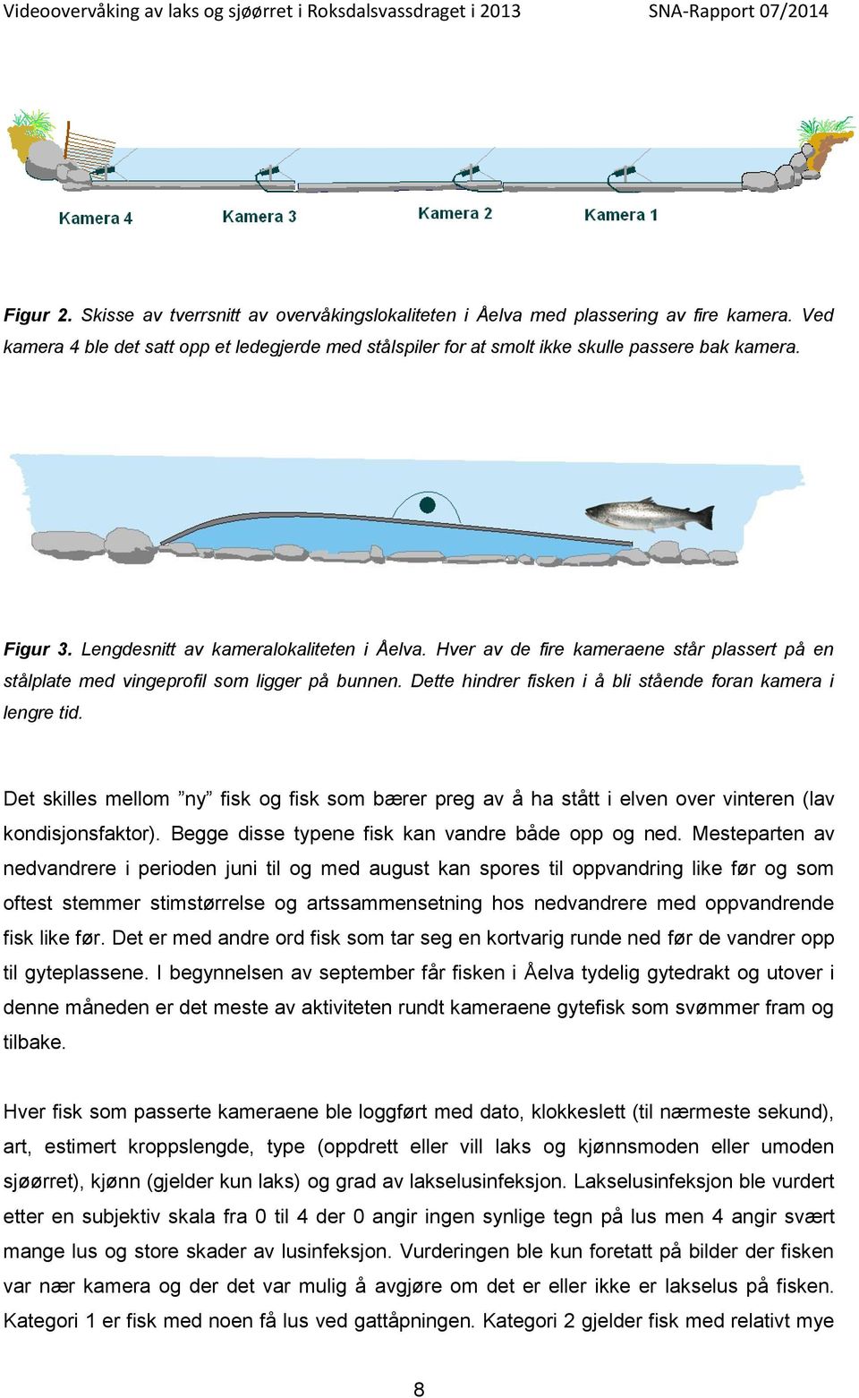 Hver av de fire kameraene står plassert på en stålplate med vingeprofil som ligger på bunnen. Dette hindrer fisken i å bli stående foran kamera i lengre tid.