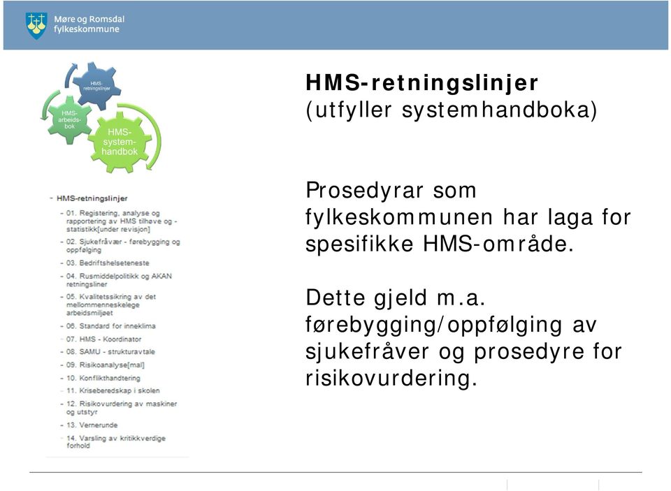 spesifikke HMS-område. Dette gjeld m.a.