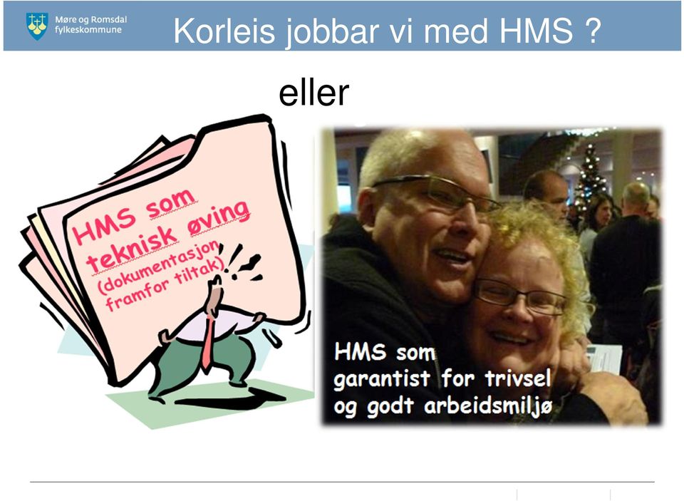 eller HMS som