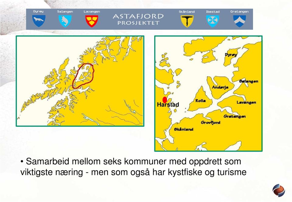 som viktigste næring - men