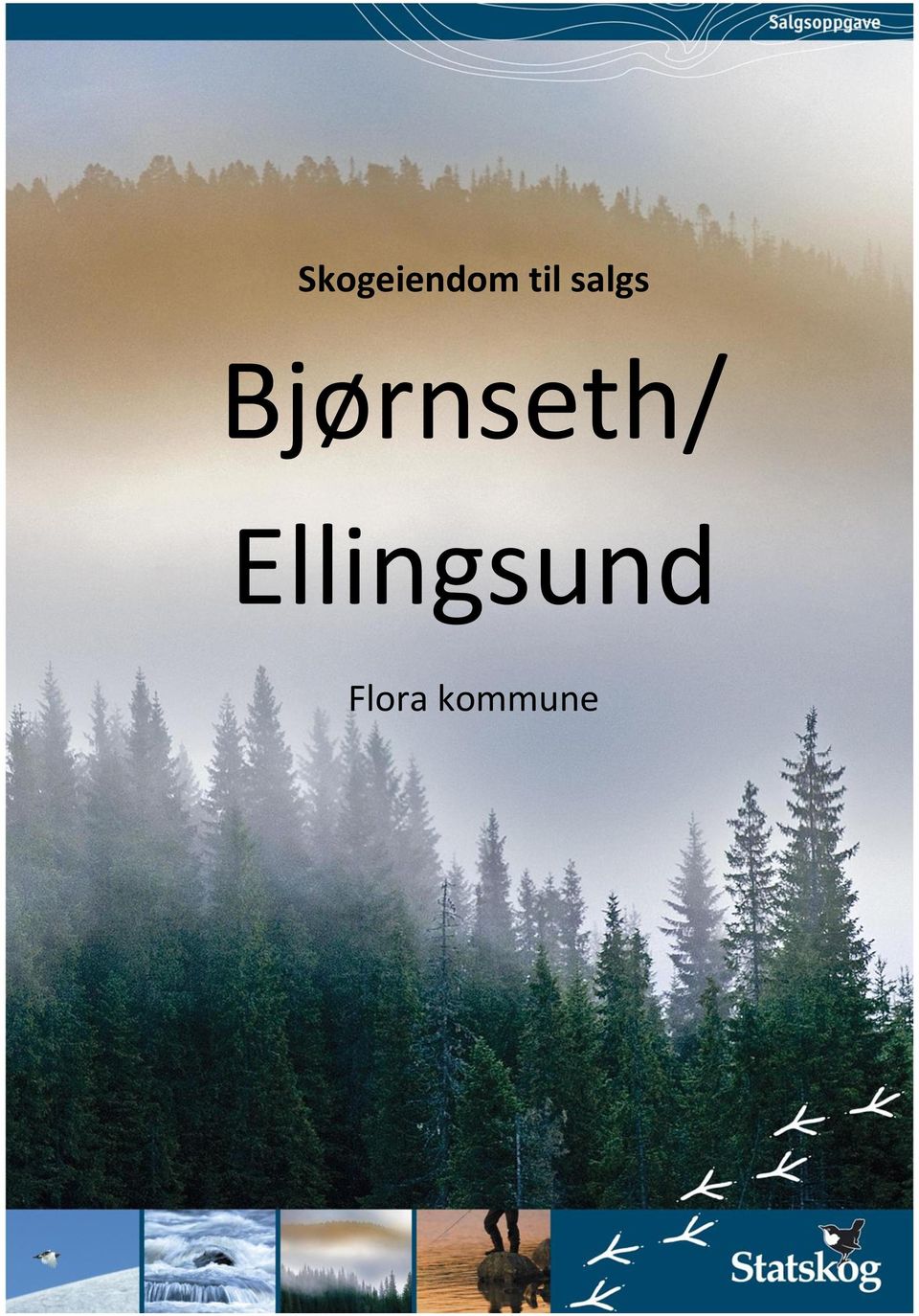 Bjørnseth/