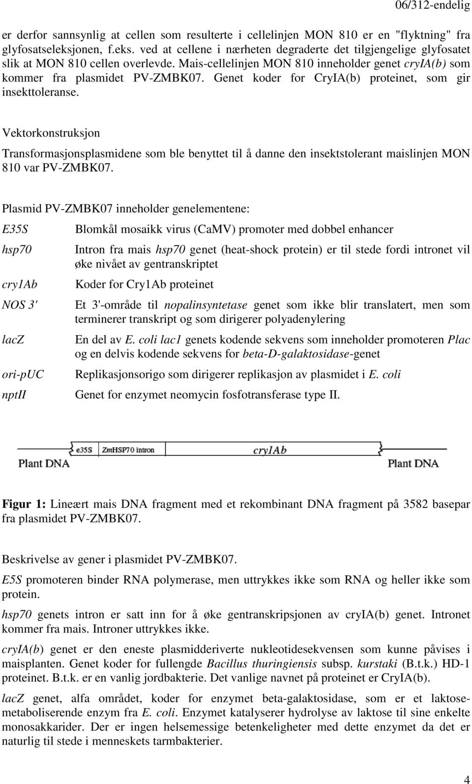 Genet koder for CryIA(b) proteinet, som gir insekttoleranse. Vektorkonstruksjon Transformasjonsplasmidene som ble benyttet til å danne den insektstolerant maislinjen MON 810 var PV-ZMBK07.