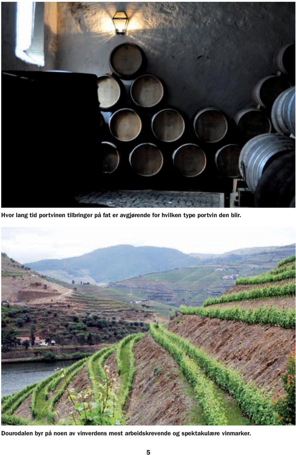 Dourodalen byr på noen av vinverdens mest