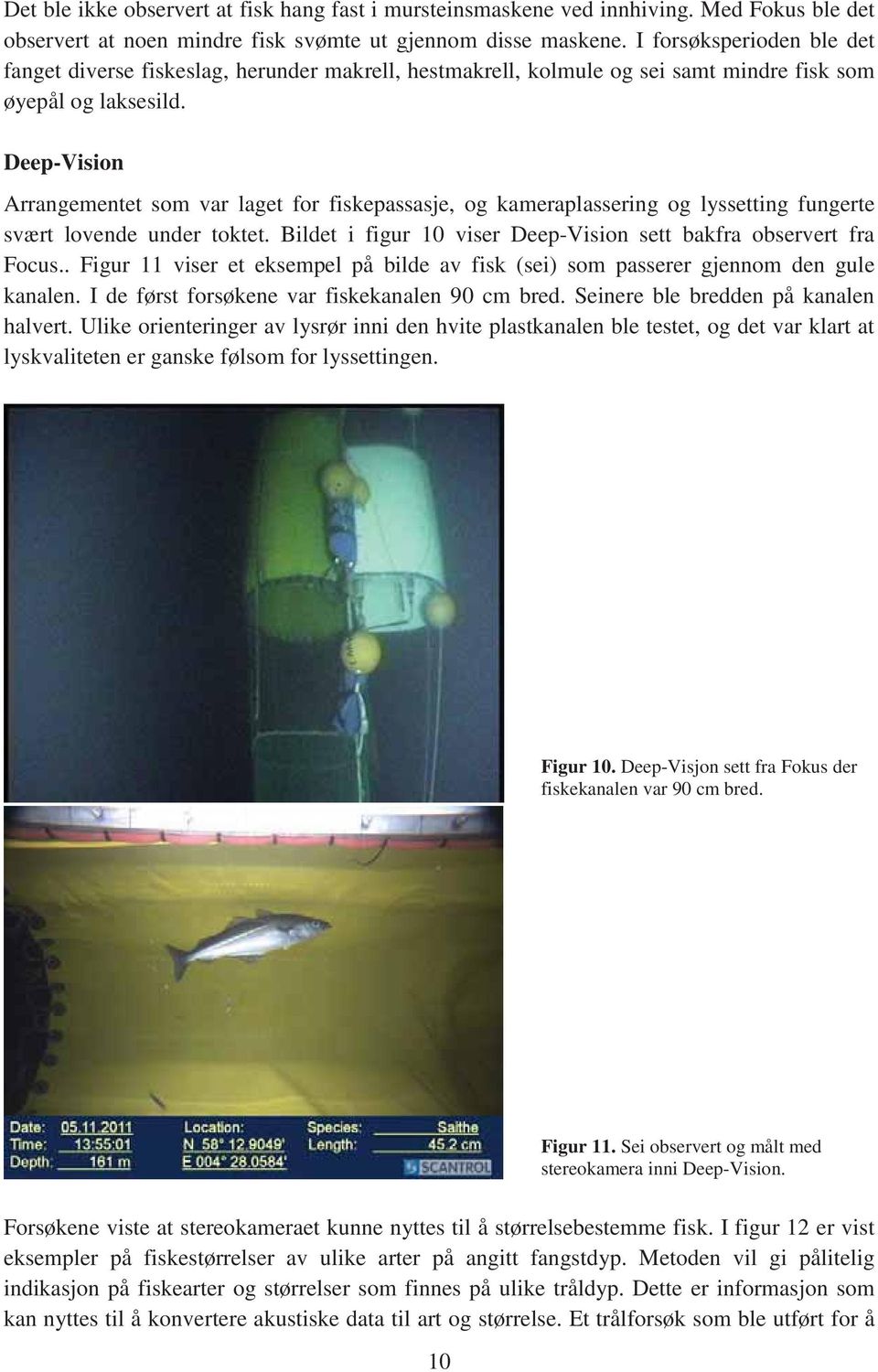 Deep-Vision Arrangementet som var laget for fiskepassasje, og kameraplassering og lyssetting fungerte svært lovende under toktet. Bildet i figur 10 viser Deep-Vision sett bakfra observert fra Focus.