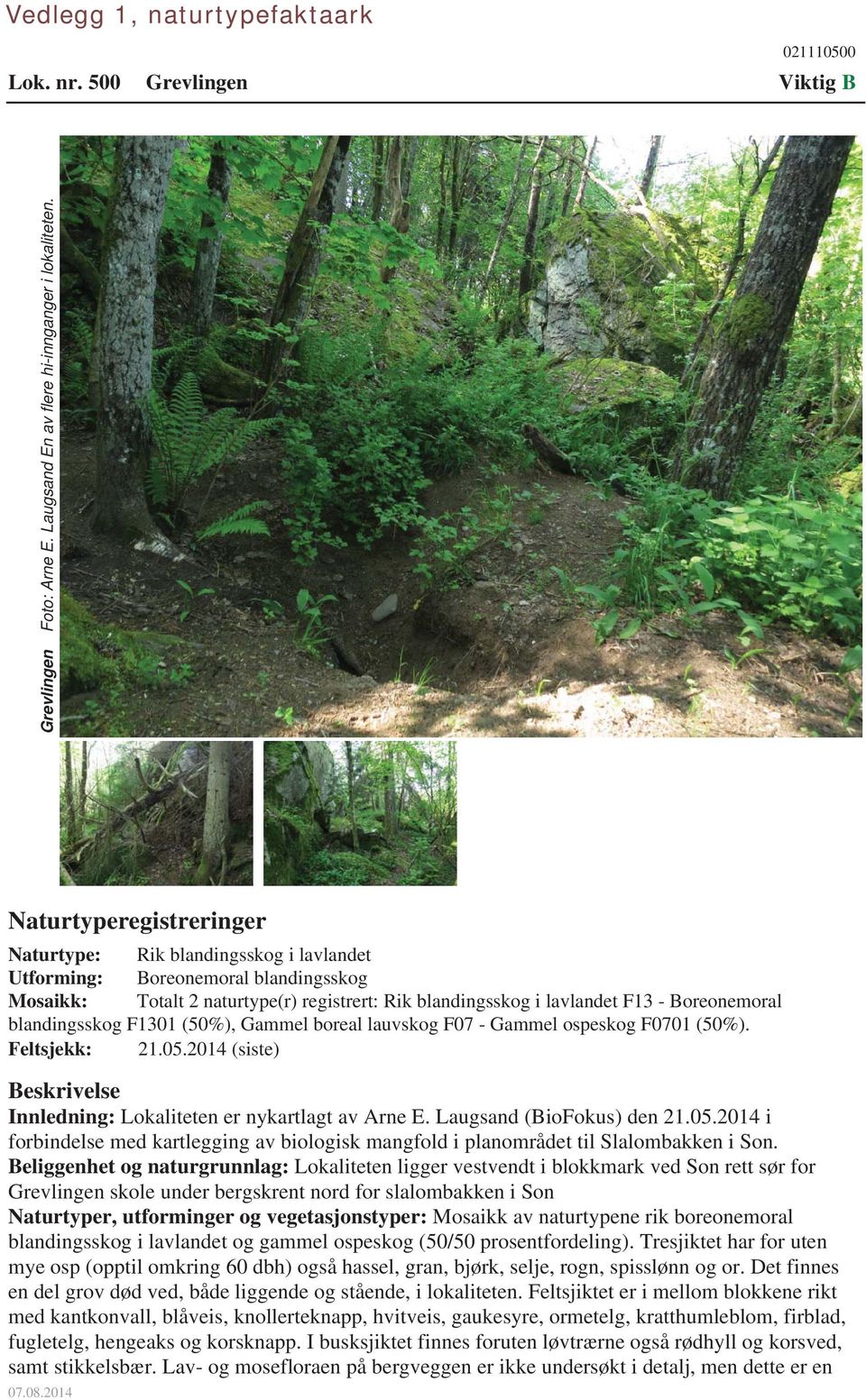 blandingsskog F1301 (50%), Gammel boreal lauvskog F07 - Gammel ospeskog F0701 (50%). Feltsjekk: 21.05.2014 (siste) Beskrivelse Innledning: Lokaliteten er nykartlagt av Arne E.
