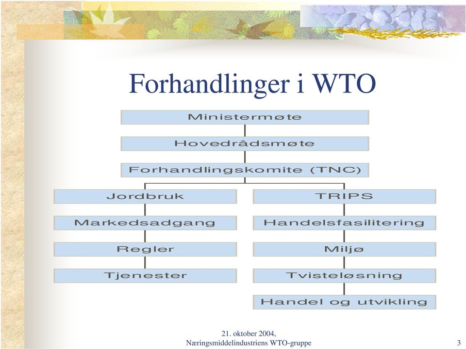 Handelsfasilitering Regler Miljø Tjenester