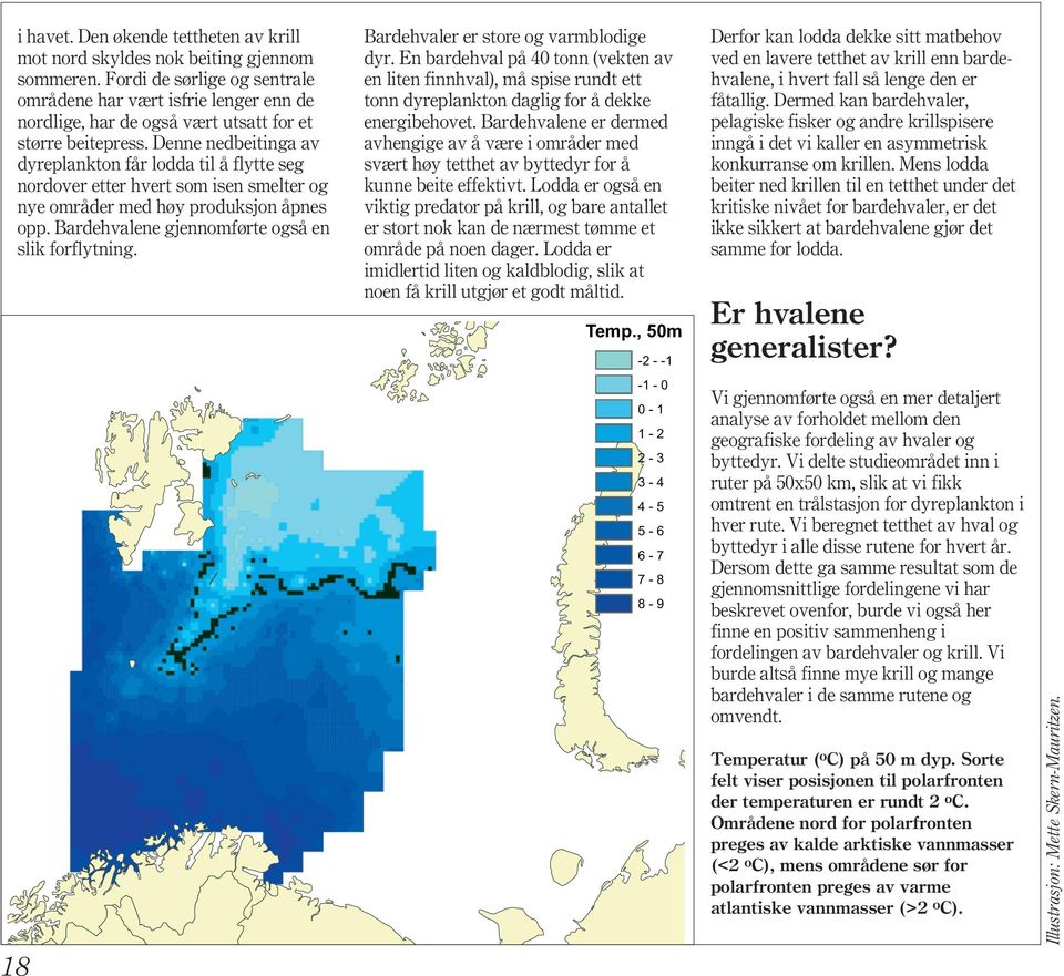 Denne nedbeitinga av dyreplankton får lodda til å flytte seg nordover etter hvert som isen smelter og nye områder med høy produksjon åpnes opp. Bardehvalene gjennomførte også en slik forflytning.