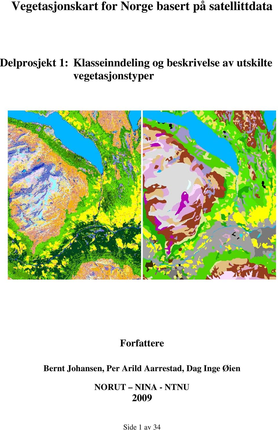 utskilte vegetasjonstyper Forfattere Bernt Johansen,