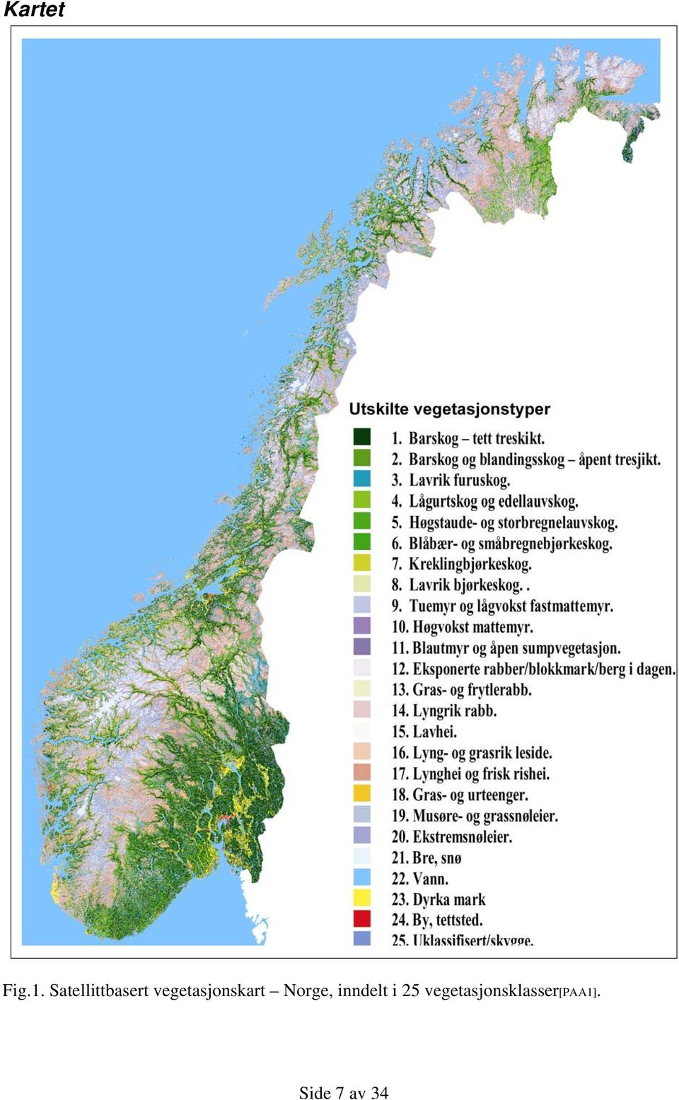 vegetasjonskart Norge,