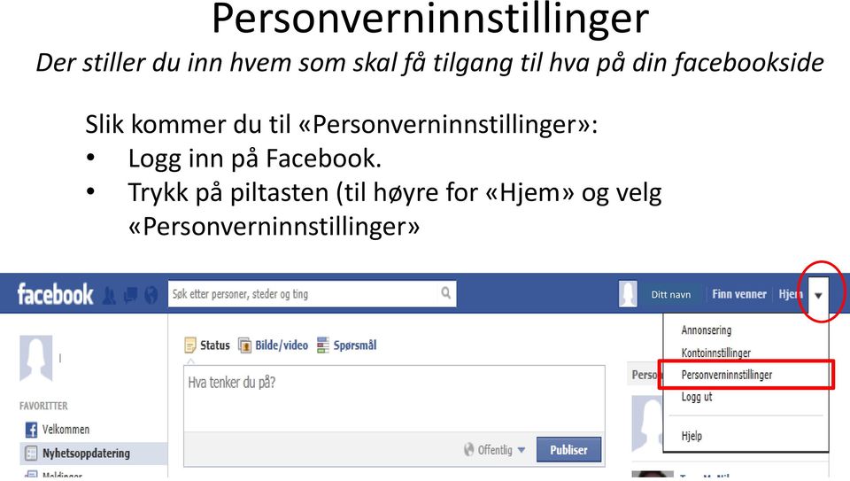 «Personverninnstillinger»: Logg inn på Facebook.