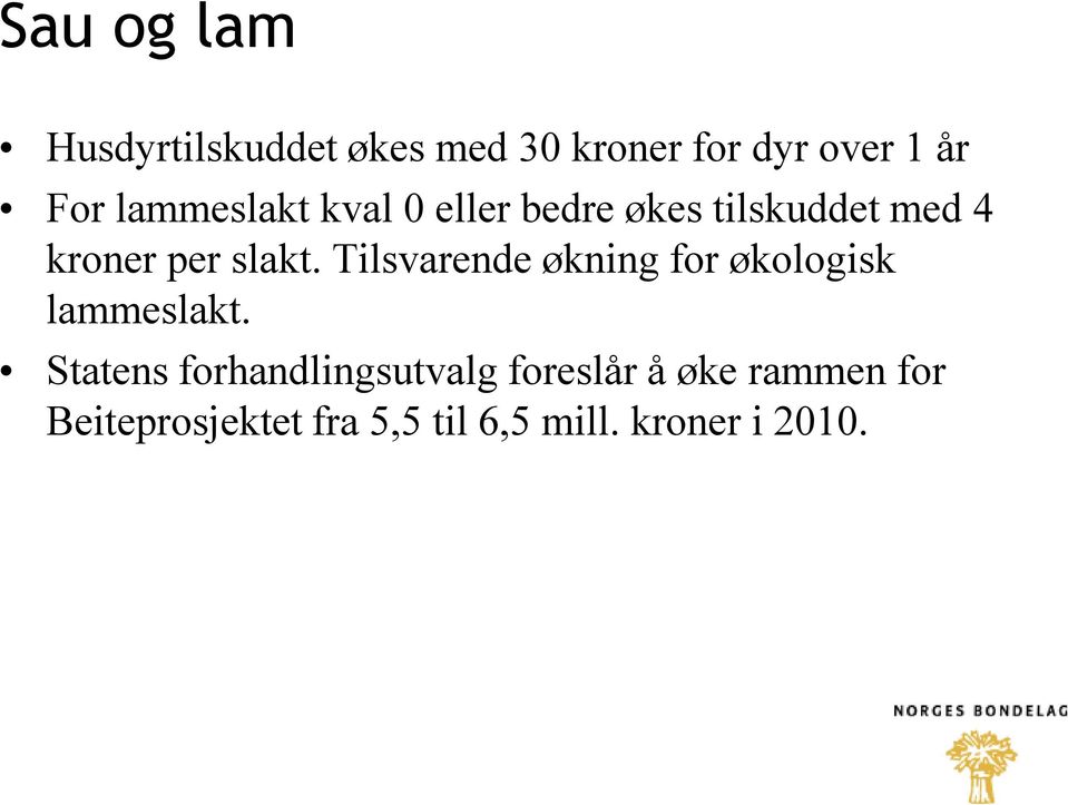 Tilsvarende økning for økologisk lammeslakt.