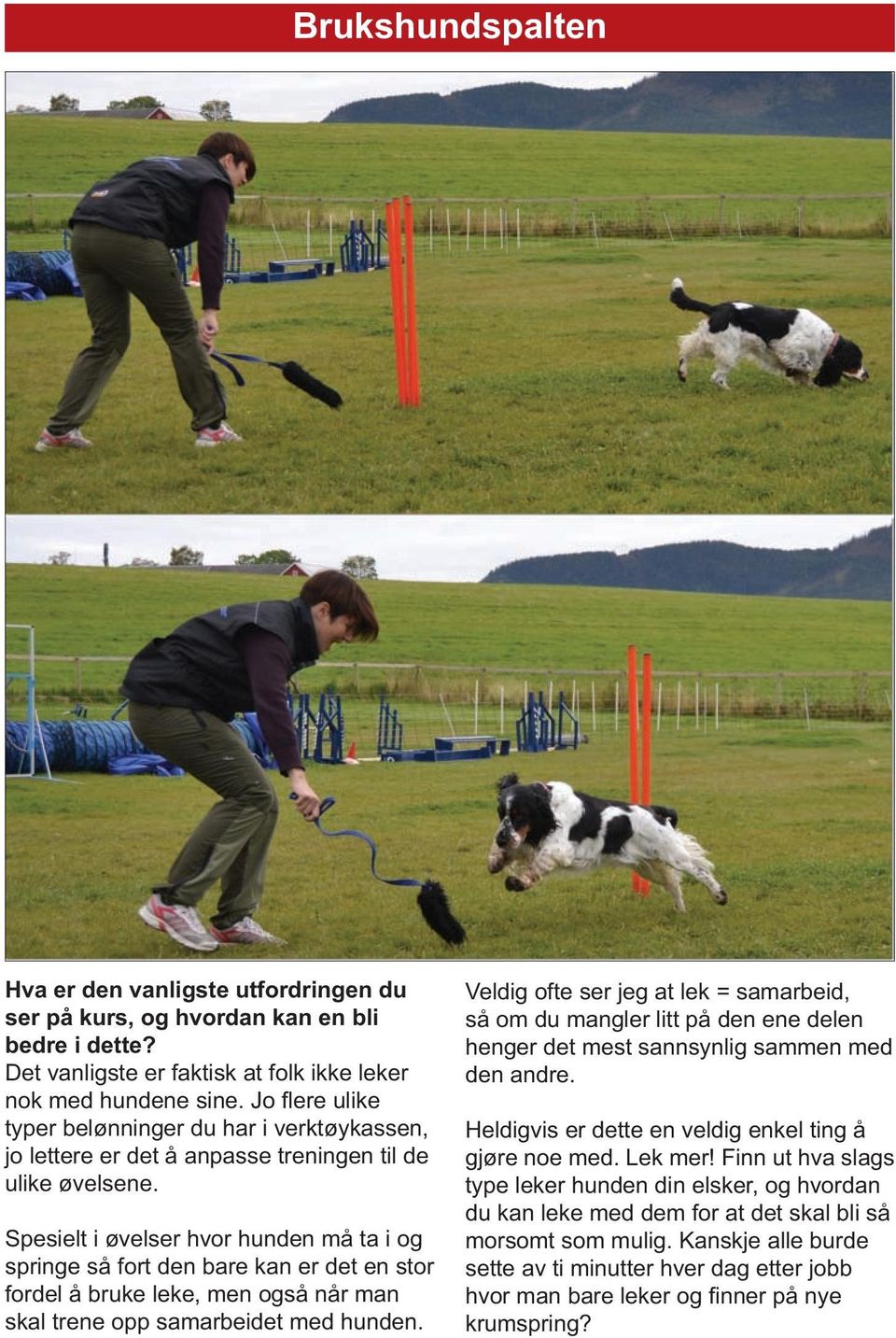 Spesielt i øvelser hvor hunden må ta i og springe så fort den bare kan er det en stor fordel å bruke leke, men også når man skal trene opp samarbeidet med hunden.