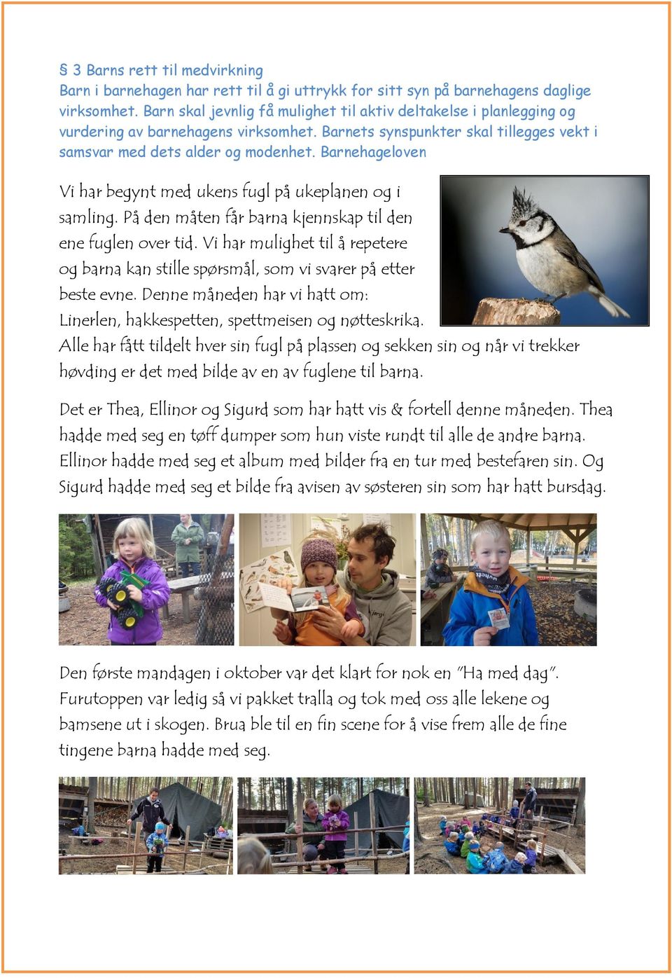 Barnehageloven Vi har begynt med ukens fugl på ukeplanen og i samling. På den måten får barna kjennskap til den ene fuglen over tid.
