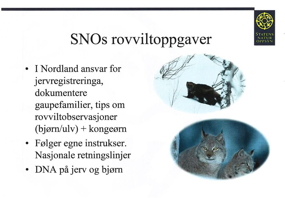 jervregisrerin gà dokumenere gaupefamilier ips om