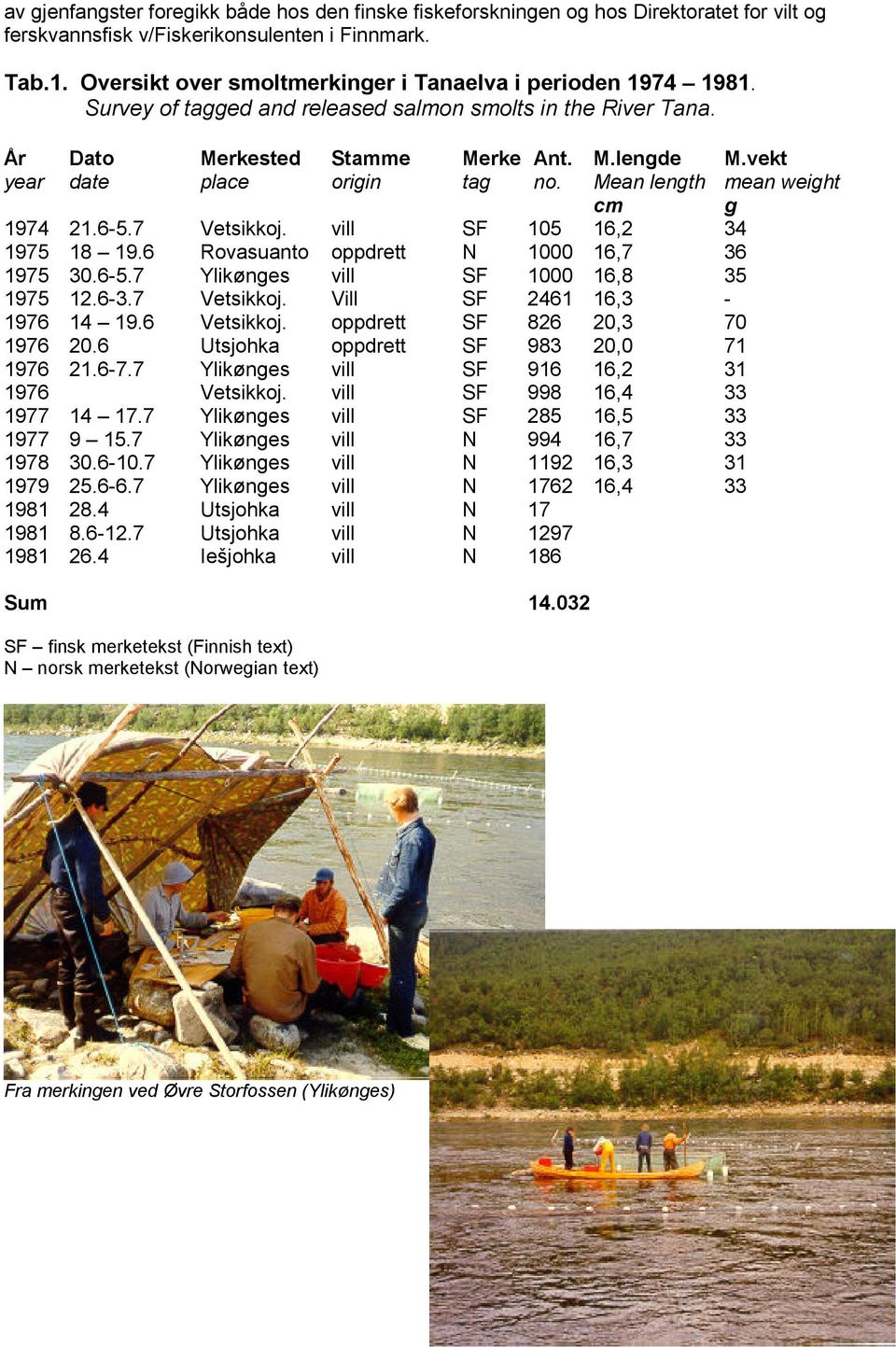 vekt year date place origin tag no. Mean length mean weight cm g 1974 21.6-5.7 Vetsikkoj. vill SF 105 16,2 34 1975 18 19.6 Rovasuanto oppdrett N 1000 16,7 36 1975 30.6-5.7 Ylikønges vill SF 1000 16,8 35 1975 12.