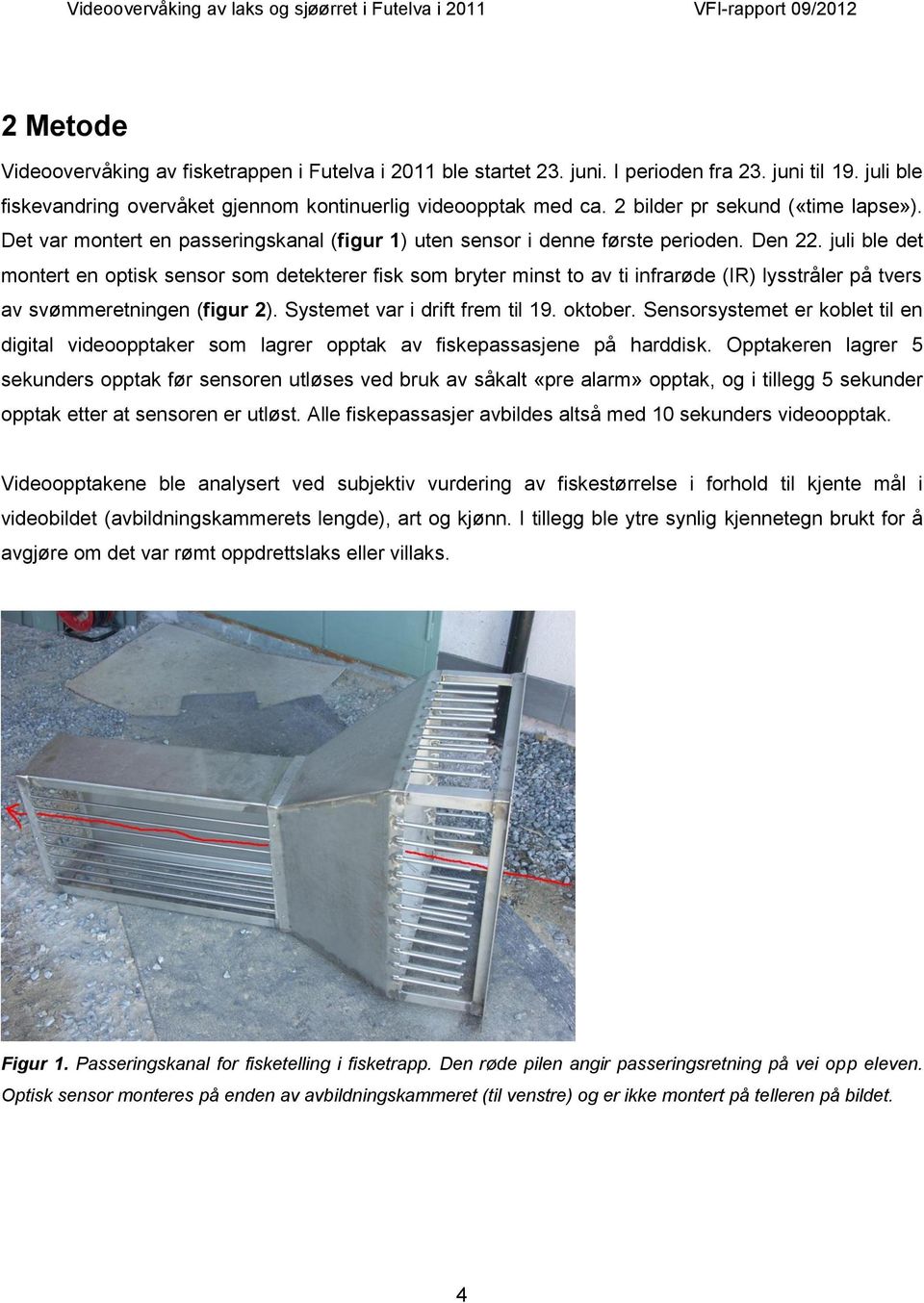 juli ble det montert en optisk sensor som detekterer fisk som bryter minst to av ti infrarøde (IR) lysstråler på tvers av svømmeretningen (figur 2). Systemet var i drift frem til 19. oktober.