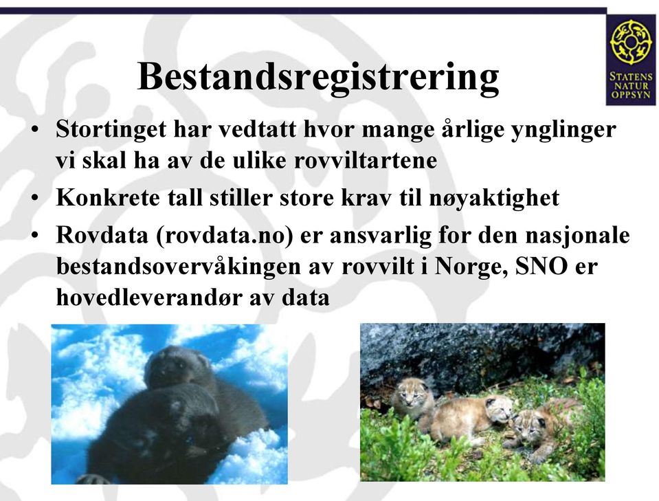 store krav til nøyaktighet Rovdata (rovdata.