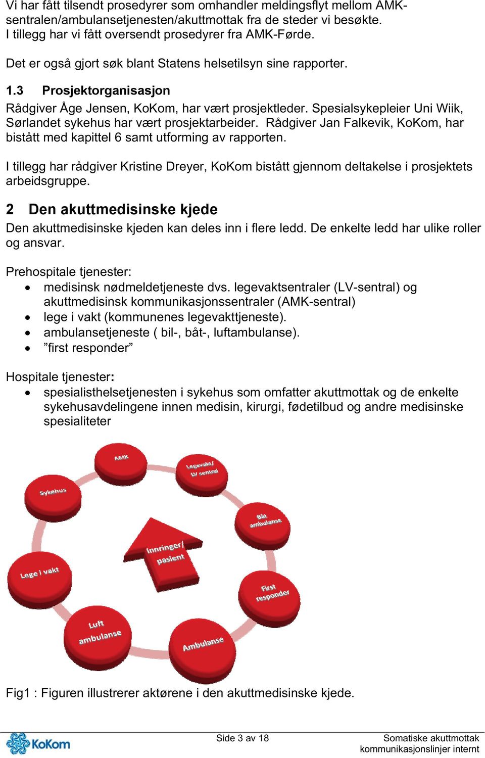 Spesialsykepleier Uni Wiik, Sørlandet sykehus har vært prosjektarbeider. Rådgiver Jan Falkevik, KoKom, har bistått med kapittel 6 samt utforming av rapporten.