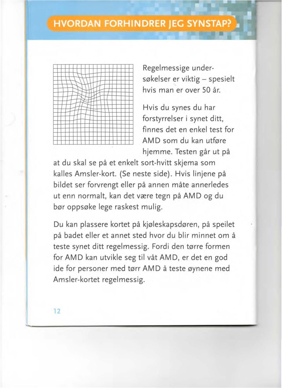 Testen går ut på at du skal se på et enkelt sort-hvitt skjema som kalles Amsler-kort. (Se neste side).