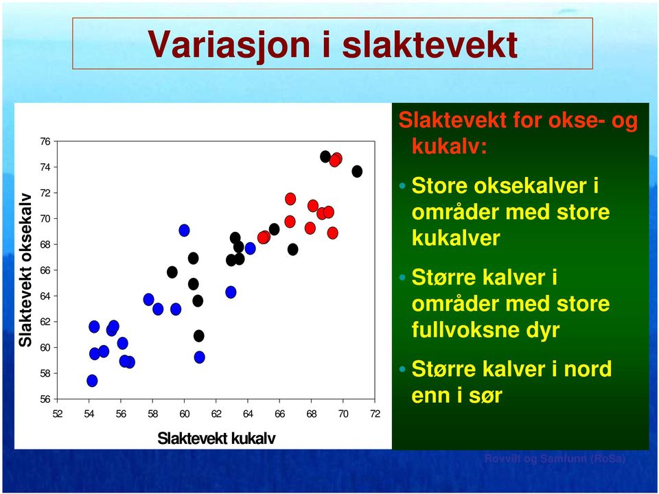 for okse- og kukalv: Store oksekalver i områder med store kukalver