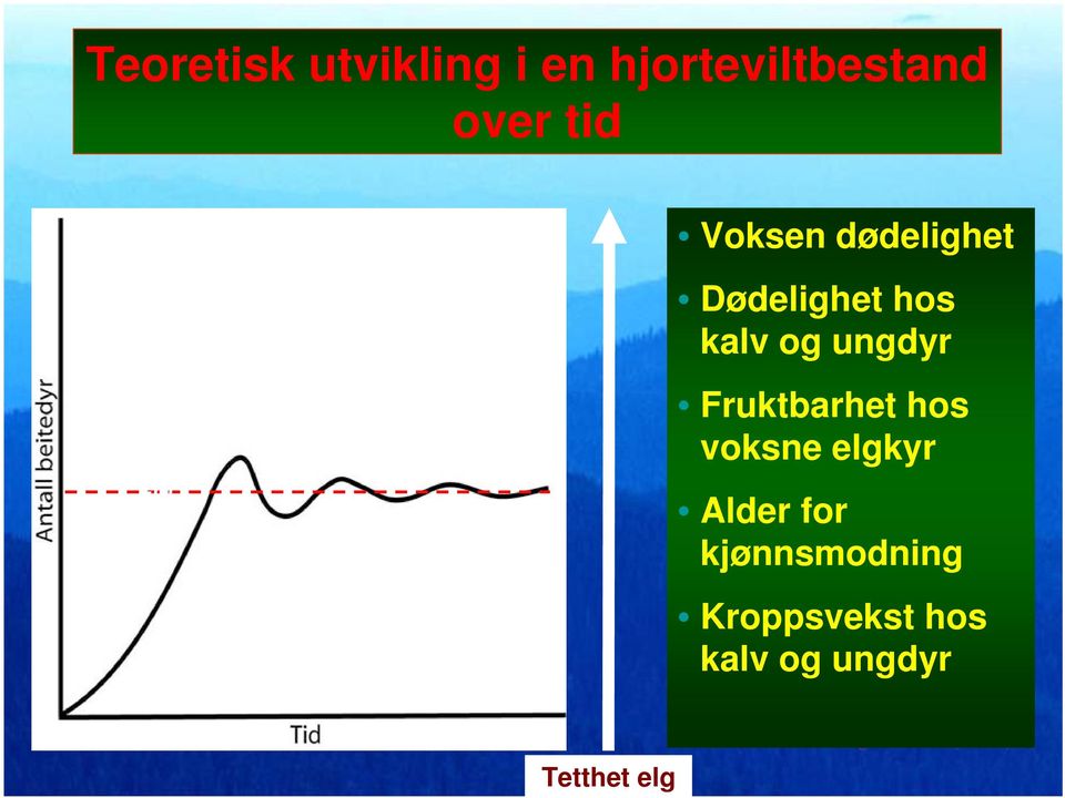 ungdyr ECC Fruktbarhet hos voksne elgkyr Alder