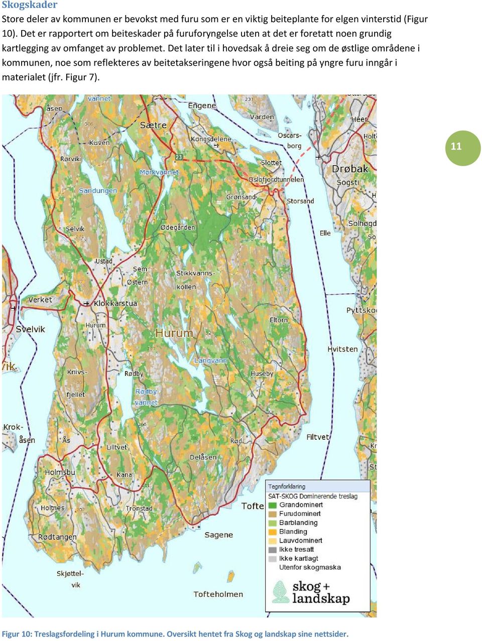 Det later til i hovedsak å dreie seg om de østlige områdene i kommunen, noe som reflekteres av beitetakseringene hvor også beiting