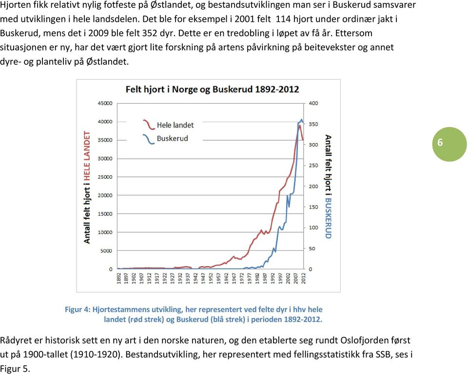 Ettersom situasjonen er ny, har det vært gjort lite forskning på artens påvirkning på beitevekster og annet dyre- og planteliv på Østlandet.