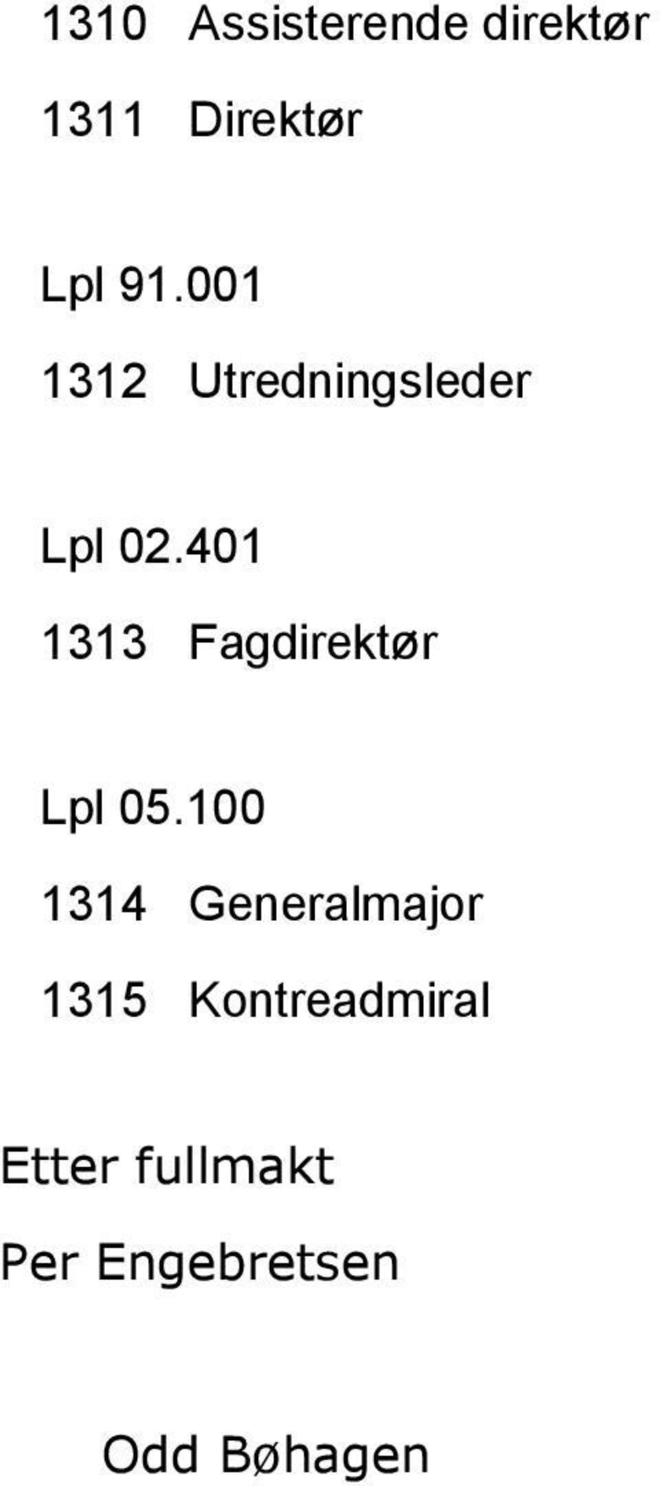 401 1313 Fagdirektør Lpl 05.
