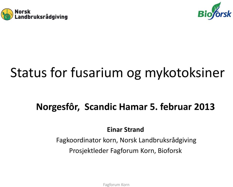 februar 2013 Einar Strand Fagkoordinator korn,