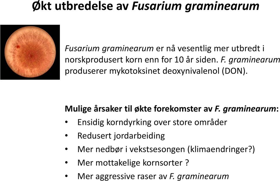 Mulige årsaker til økte forekomster av F.