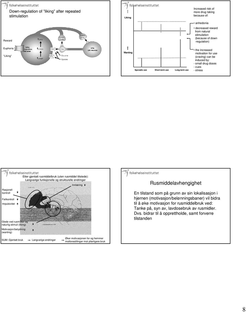 Impulsivitet Glede ved rusmidler og naturlig stimuli (liking) Motivasjon/betydning (wanting) Etter gjentatt rusmiddelbruk (uten rusmiddel tilstede): Langvarige funksjonelle og strukturelle endringer